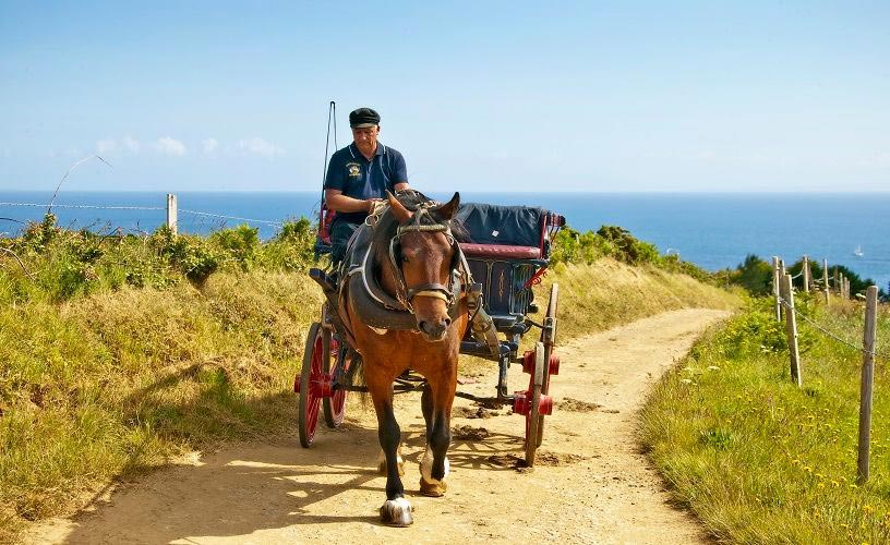 About Sark Carriage Rides - Danny Wakley